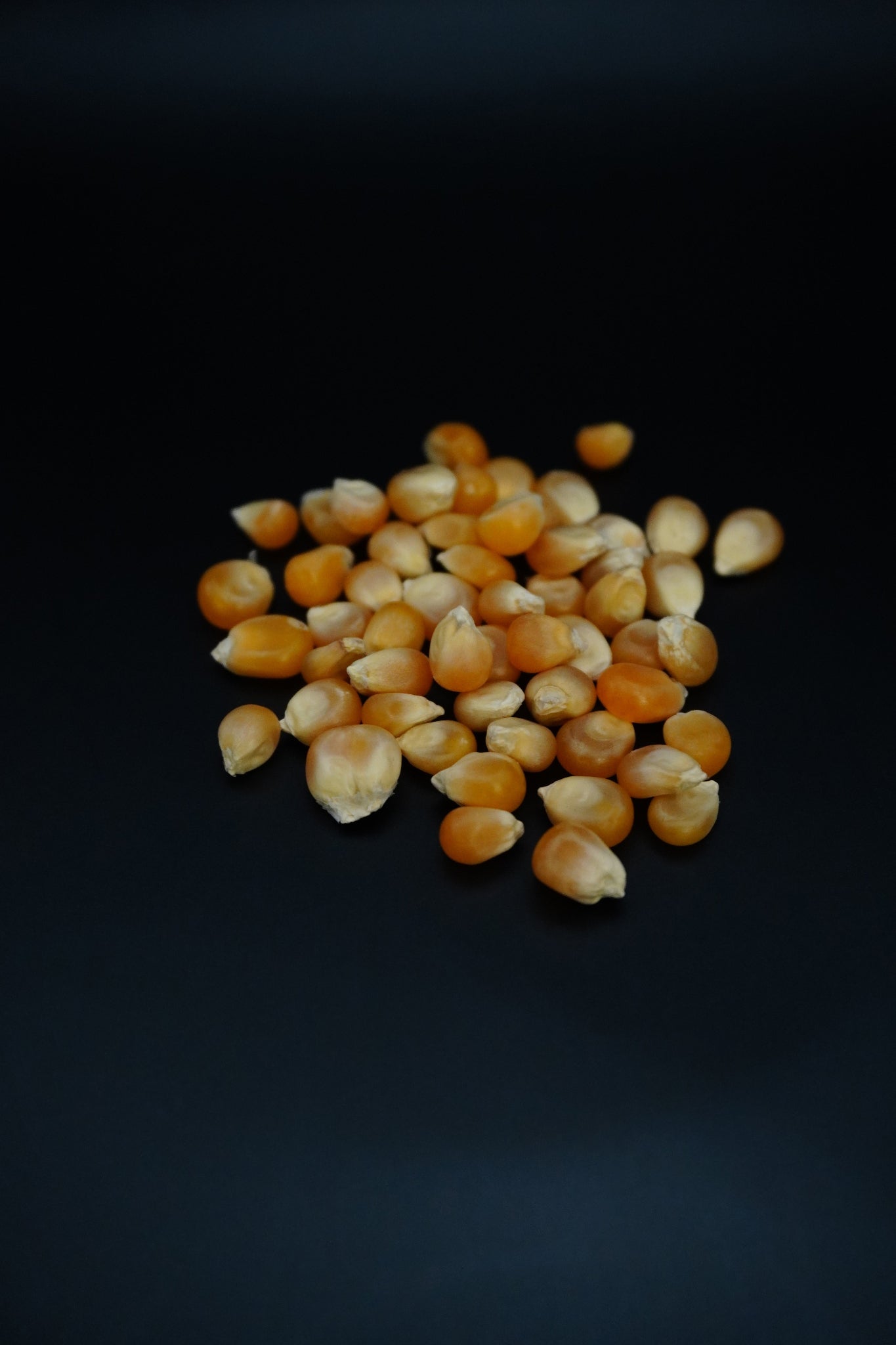Pop Corn
