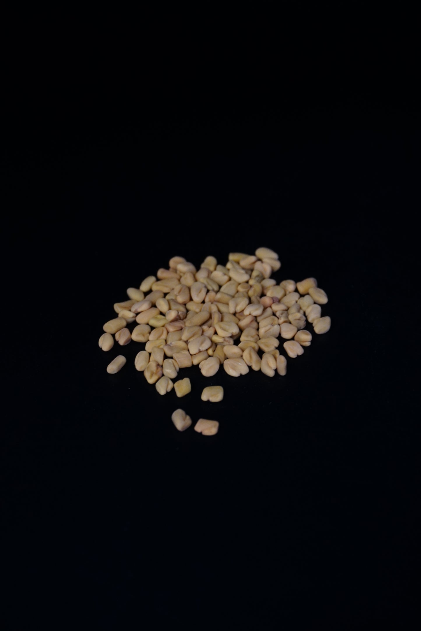Fenugreek