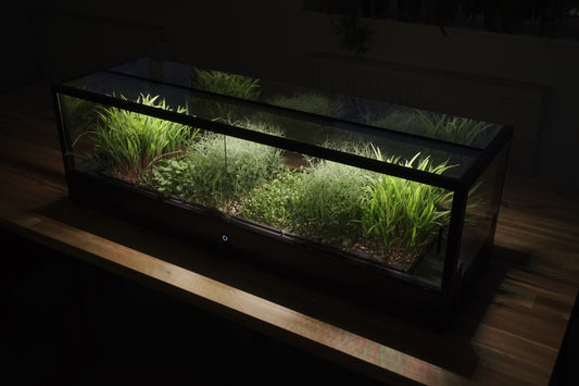 Hydroponic