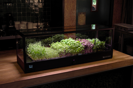 MINIGRO PRO+
