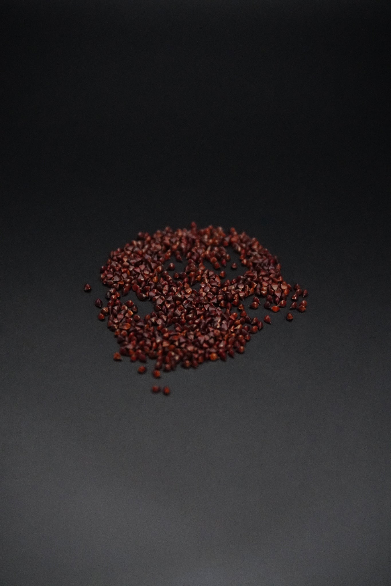 Sorrel, Red Veined
